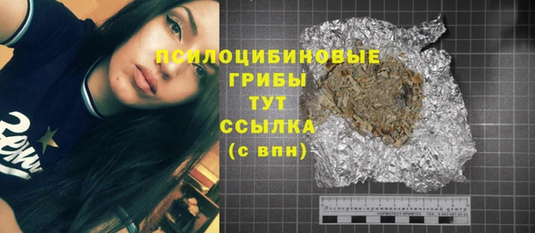 меф Медвежьегорск