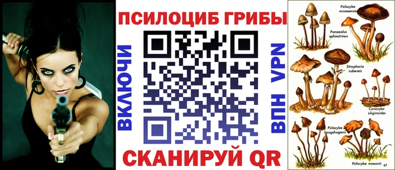 Псилоцибиновые грибы ЛСД  где найти наркотики  Торопец 
